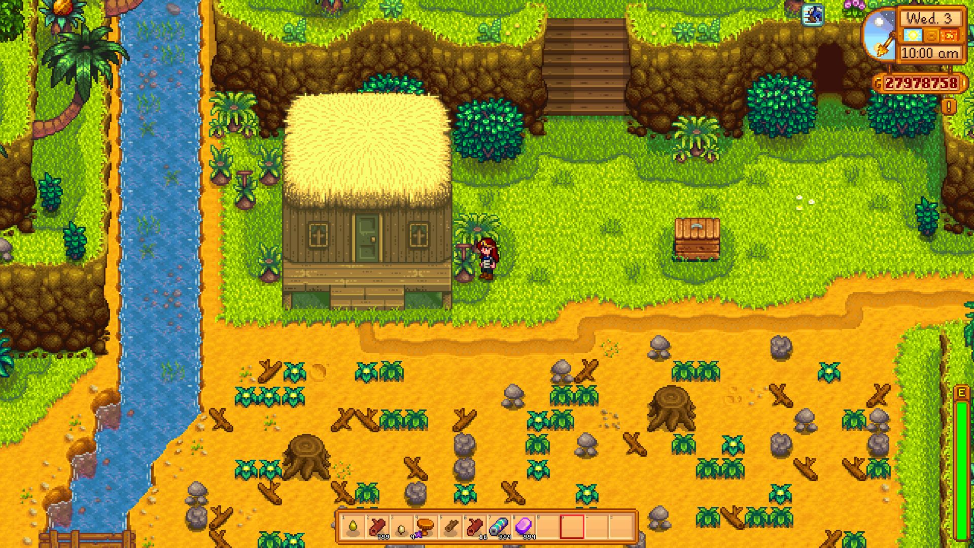 Stardew Valley Walnuts