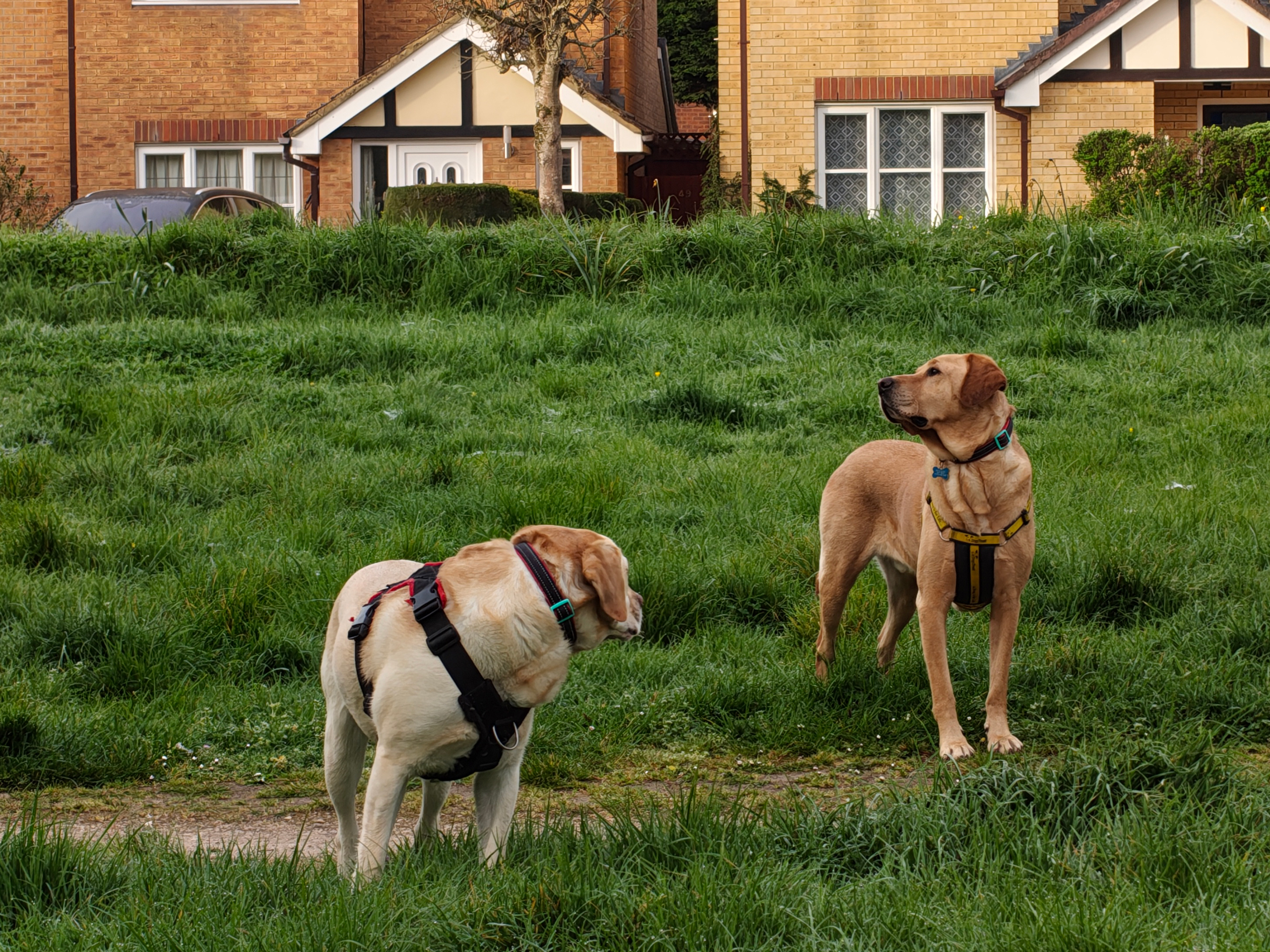 Nothing Phone 4a Pro review