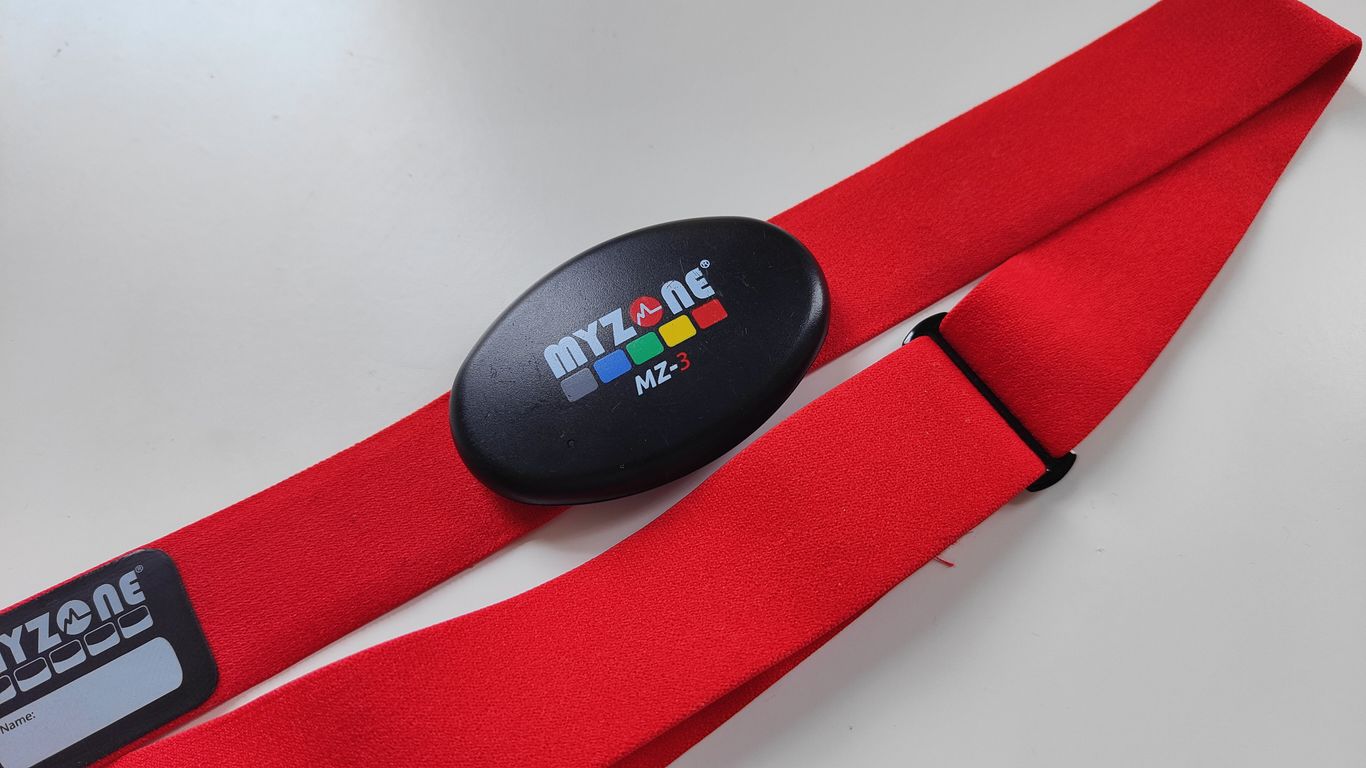 myzone fitbit