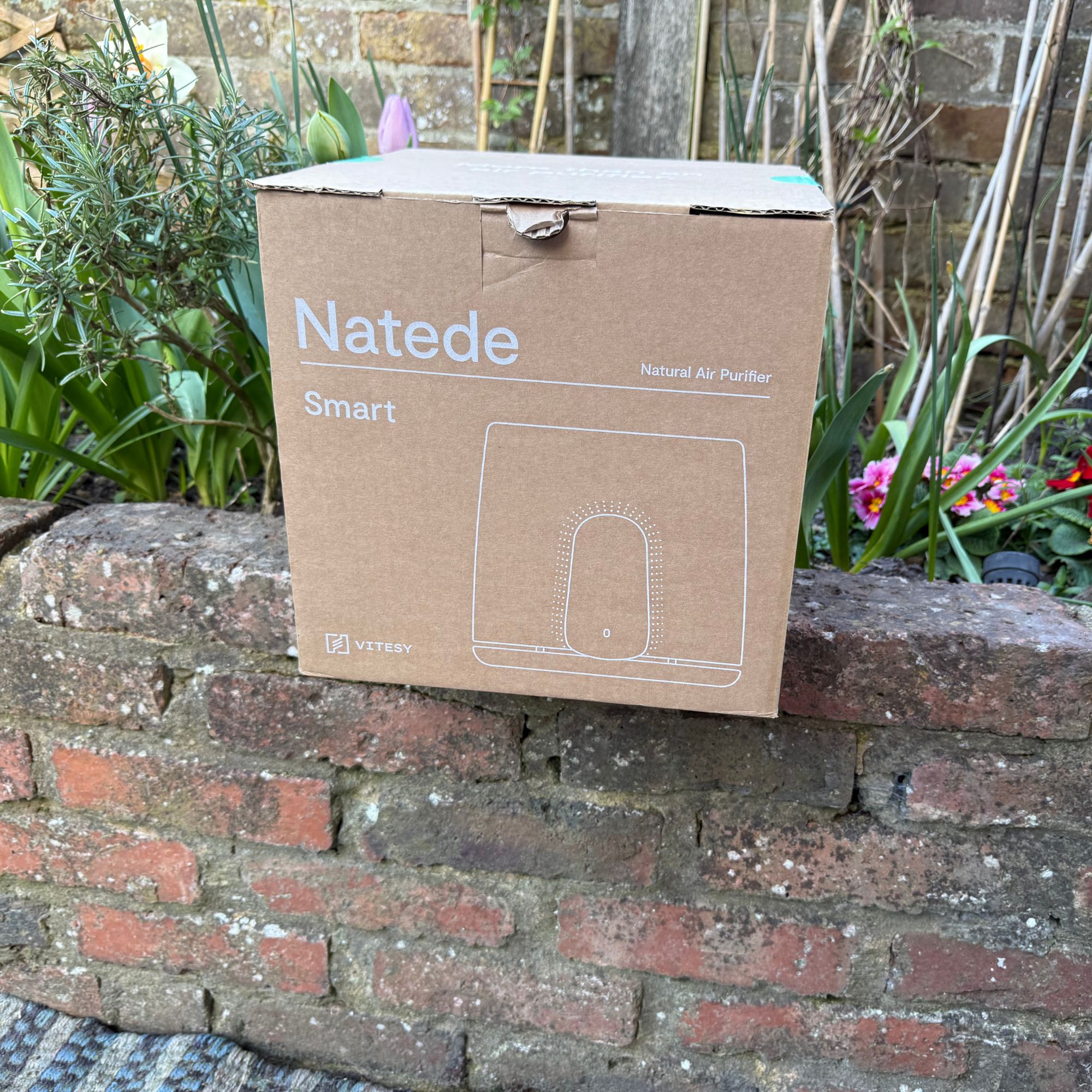 Vitesy Natede Smart air purifier box sitting on a garden wall