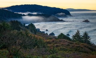 Foggy Morning,False Klamath Cove,Scenic view of sea against sky during sunset,Del Norte County,California