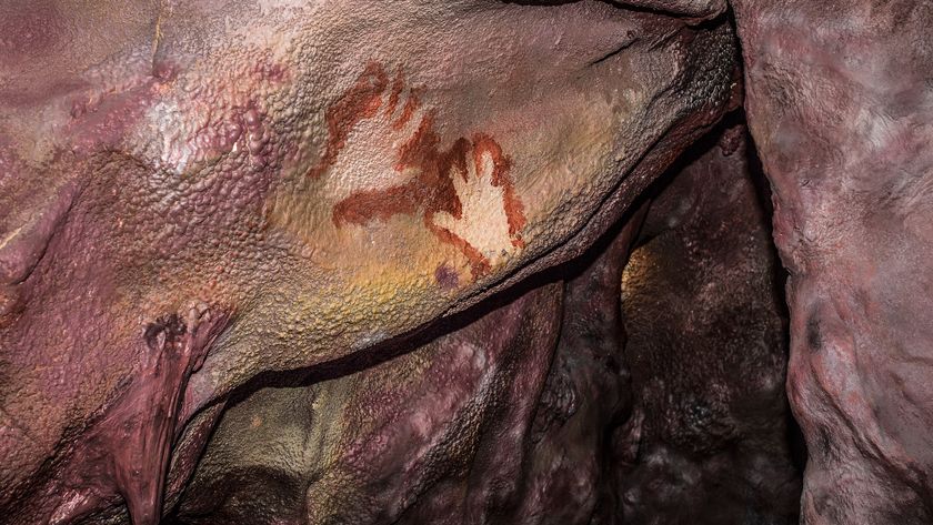 A photograph of Neanderthal handprints on a cave wall