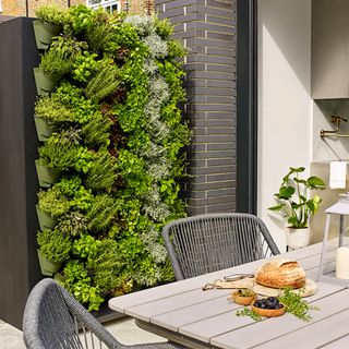 outdoor living wall with grey dining table and chairs