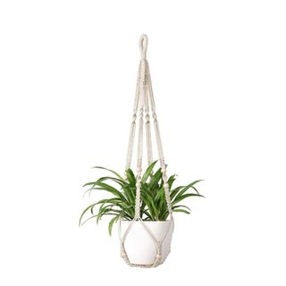 A macrame plant holder with a plant inside