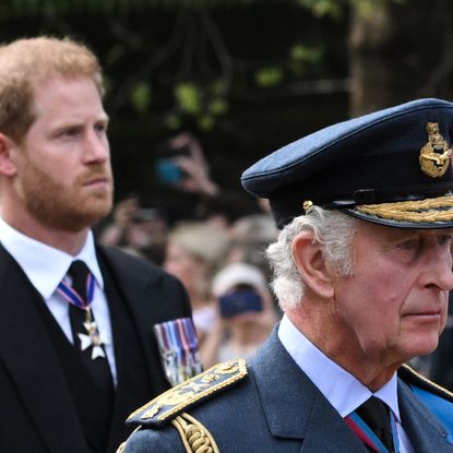 prince charles and prince harry at queen elizabeth ii's funeral