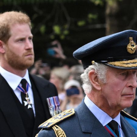 prince charles and prince harry at queen elizabeth ii's funeral
