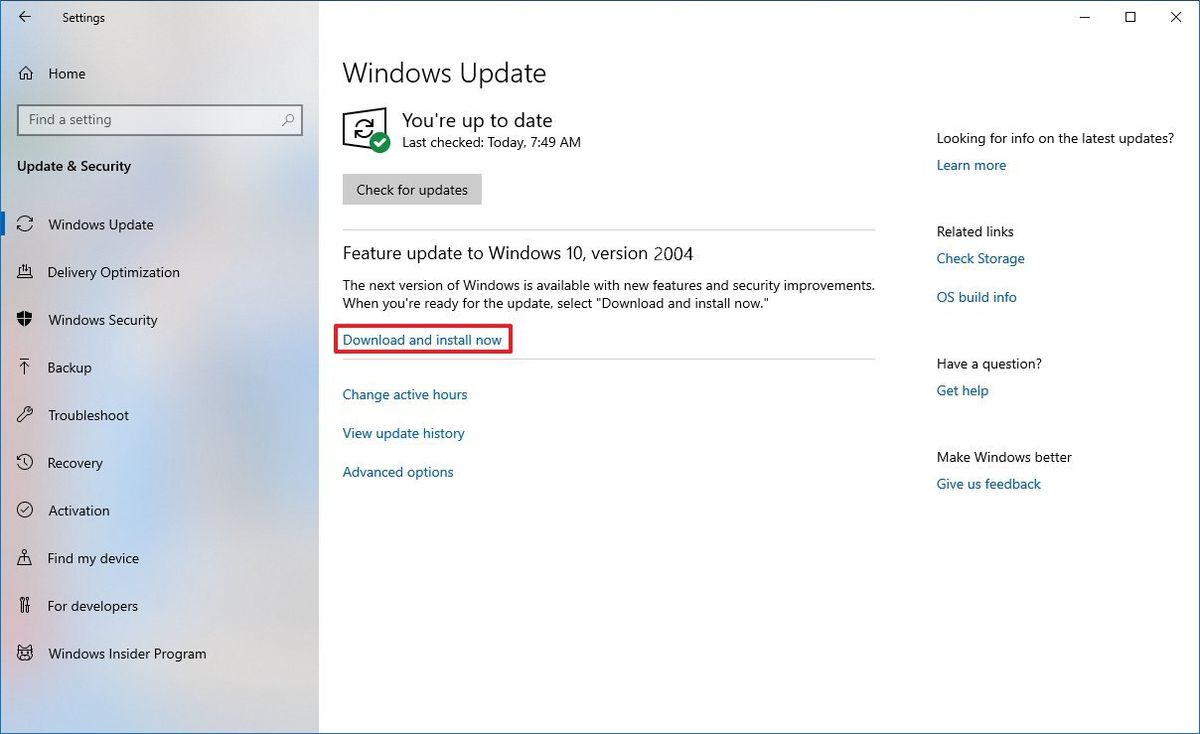 Windows update download and install option 