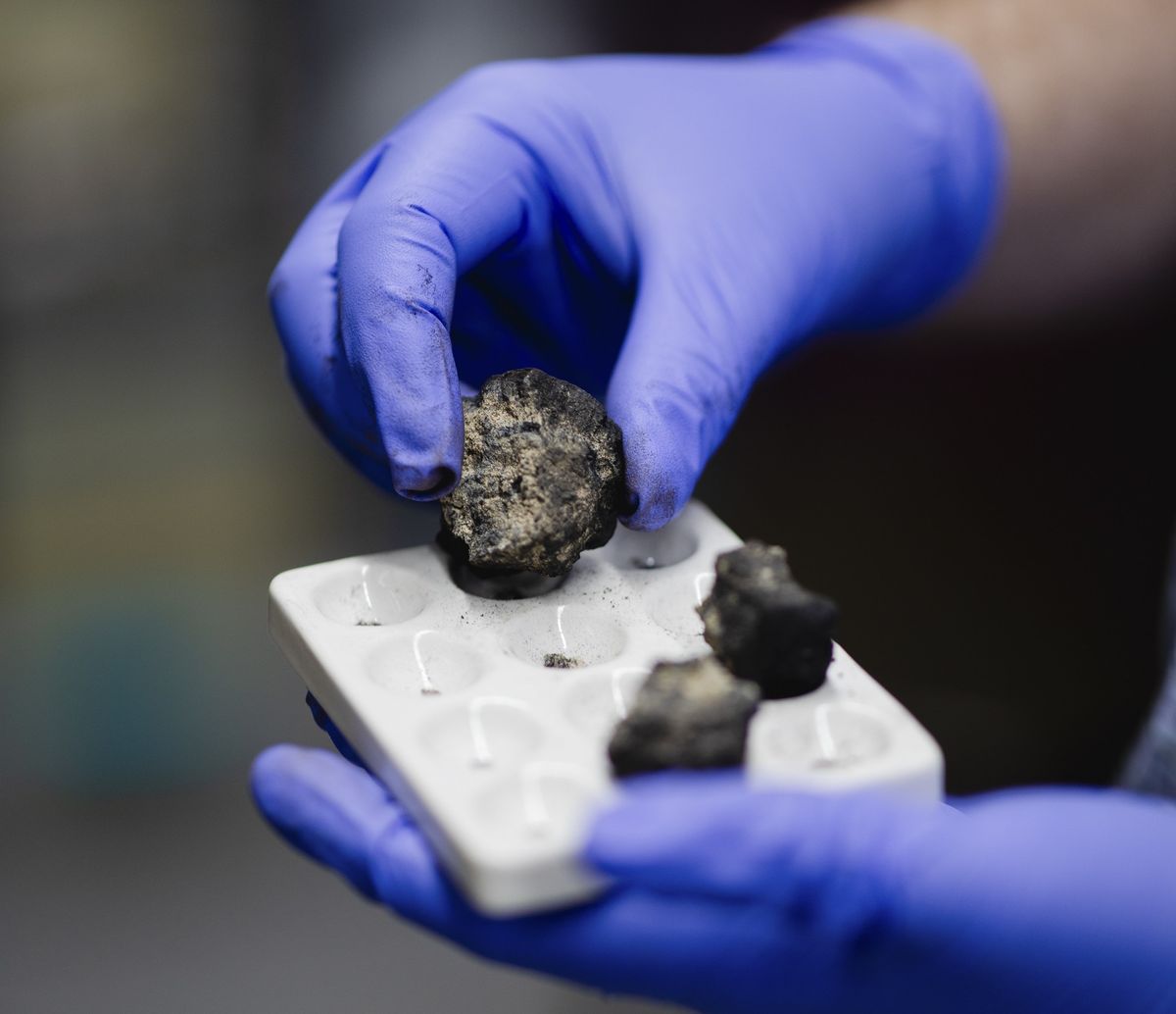 A person wearing blue latex globes takes a polymetallic nodule from a small, white tray.