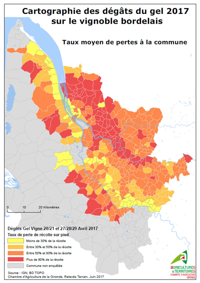 bordeaux frost damage