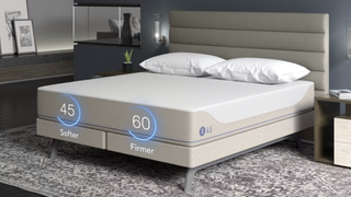 A Sleep Number Innovation Series Smart Bed