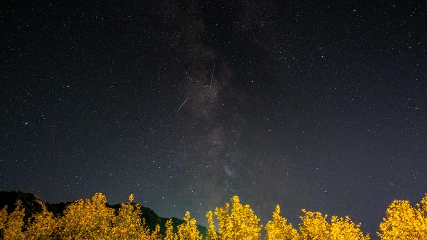 Meteors are pictured crossing the glowing band of the Milky Way above a star-studded sky. The Milky Way is pictured streaming vertically towards the horizon, which is framed by brightly lit foliage.