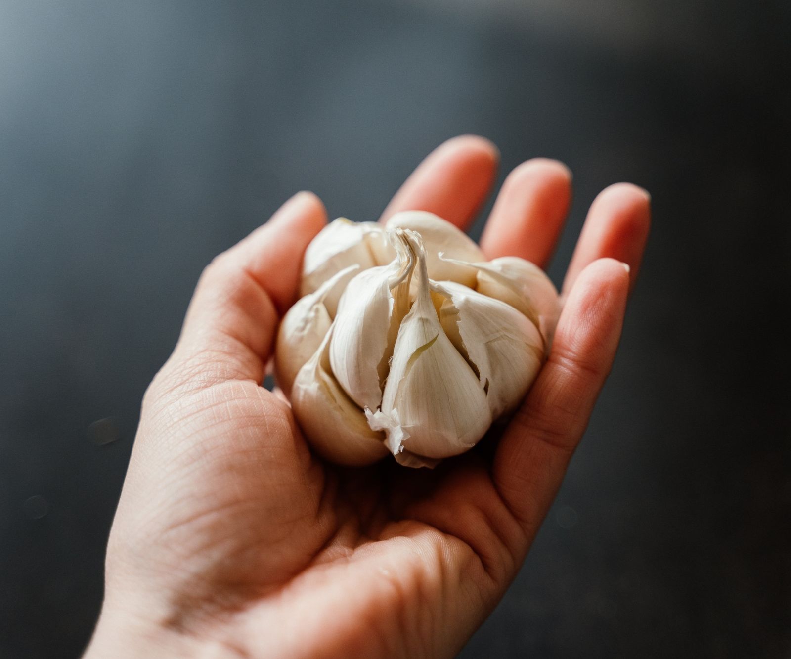 Can you grow garlic from grocery store garlic? Homes & Gardens