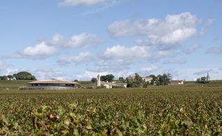 The landscape around Le Dome winery