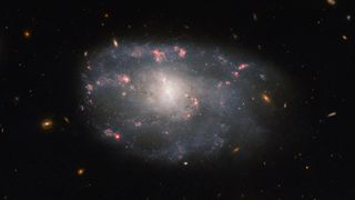 The Hubble Space Telescope photographed the irregular spiral galaxy NGC 5486, which lies 110 million light-years from Earth in the constellation Ursa Major. 