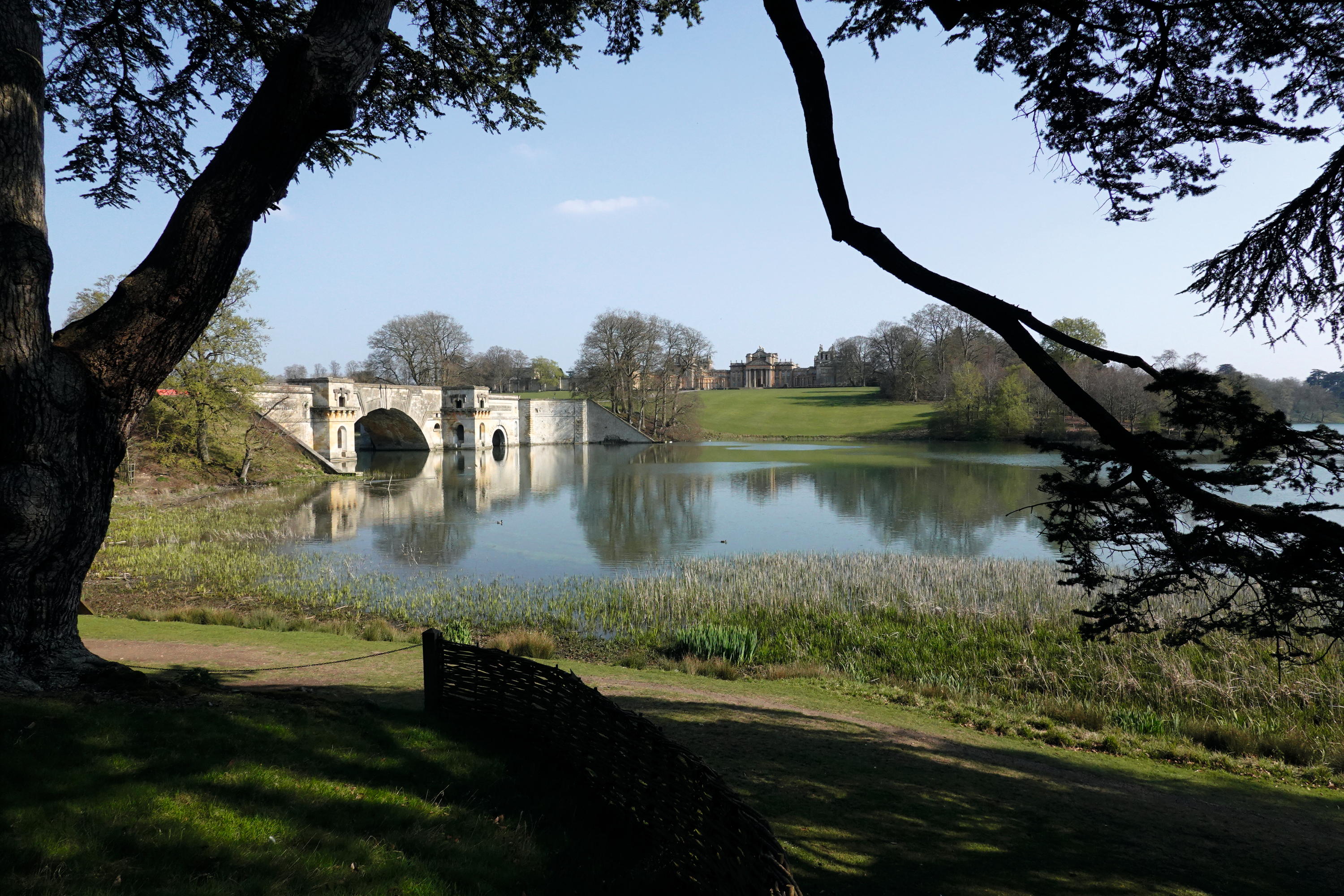 Blenheim Palace in Country Life