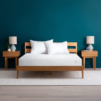 Legacy T&amp;N Original Mattress | was $1,395