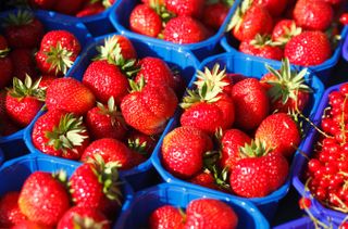 grow your own strawberries