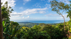 Costa Rica's Pacific coast seen from the forest. 