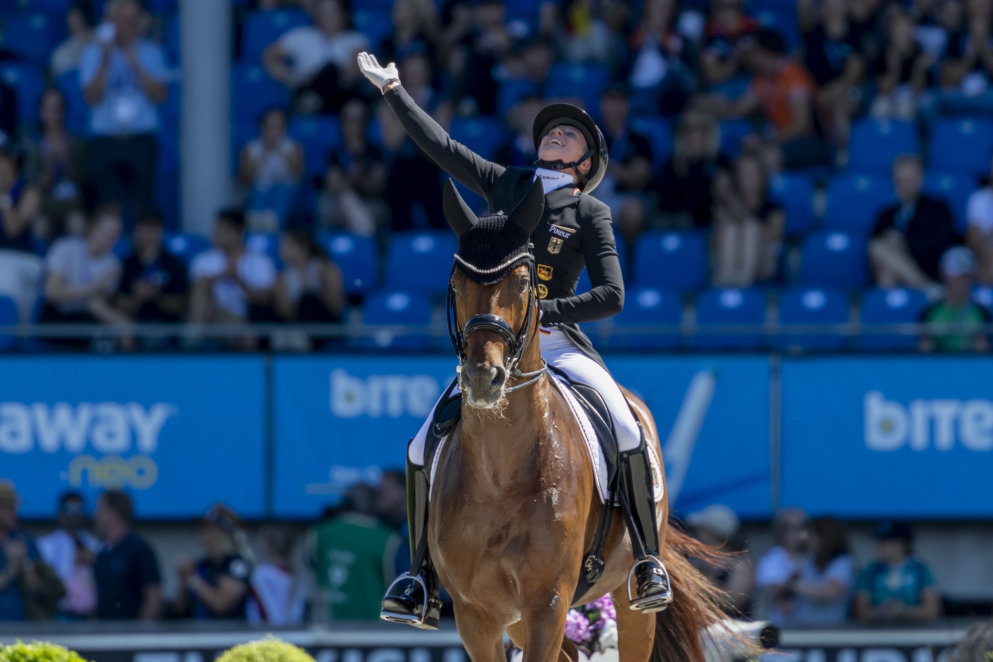 Katharina Hemmer (GER) riding Denoix PCH
FEI Dressage World Championship, Aachen (GER) 2026
Grand Prix Team Final &amp;amp; Individual Qualifier Lambertz-Prize
&amp;copy; FEI/Leanjo de Koster