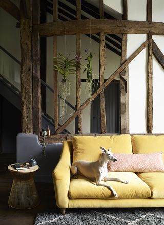 yellow sofa in a dark rustic living room