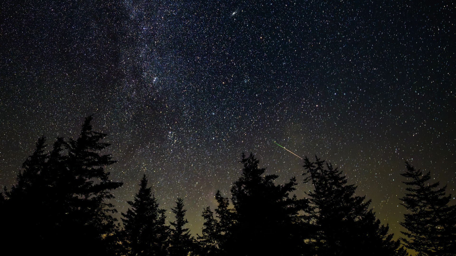 A white streak of a meteor is seen in a starry yellow and purple night sky above silhouettes of pine trees