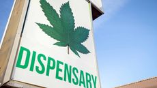 Cannabis dispensary sign with large green marijuana leaf