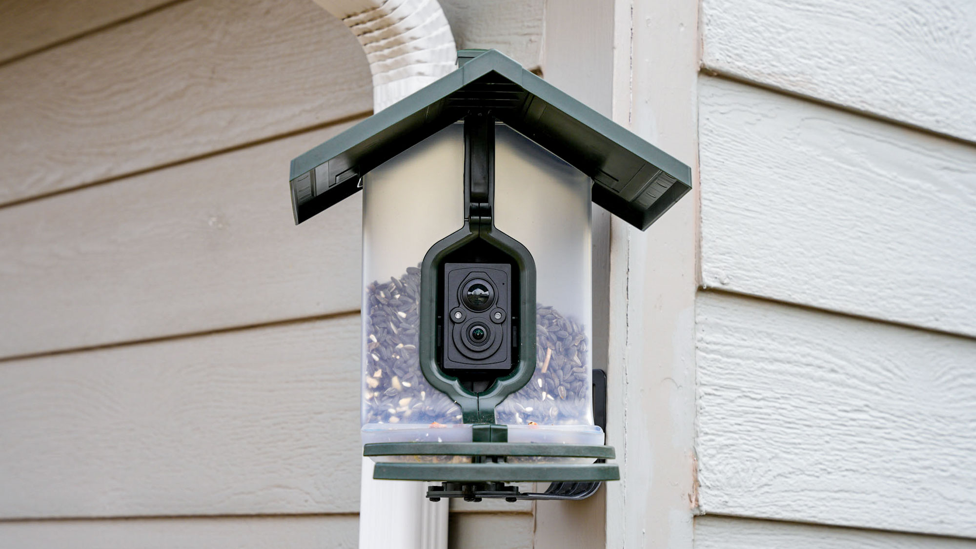 Front view of a Feathersnap Scout Bird Feeder mounted on the side of a house.