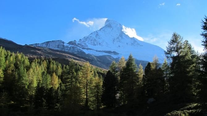 Views of the Matterhorn through a thick canopy of yellowing larch - they offer some respite to gravel climbs above Zermatt