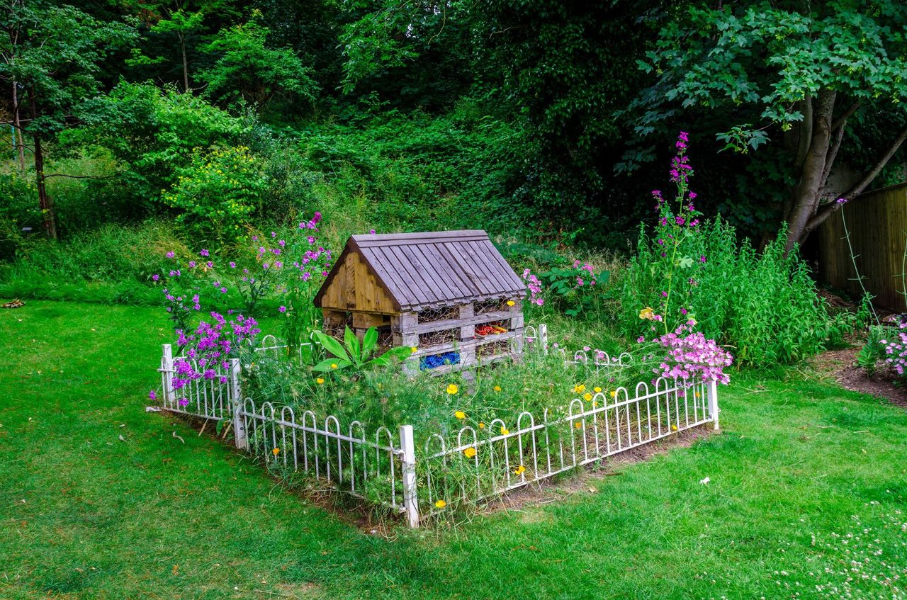 Fenced-In Weed Garden Bed Full Of Flowers And Weeds