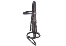 Bridle.jpg
