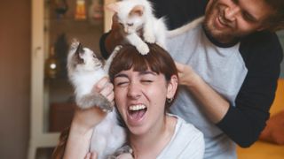 Couple laughing with kittens