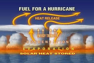 Scientifically, the main function of hurricanes, typhoons, etc., is to transport heat from the tropics to higher latitudes.