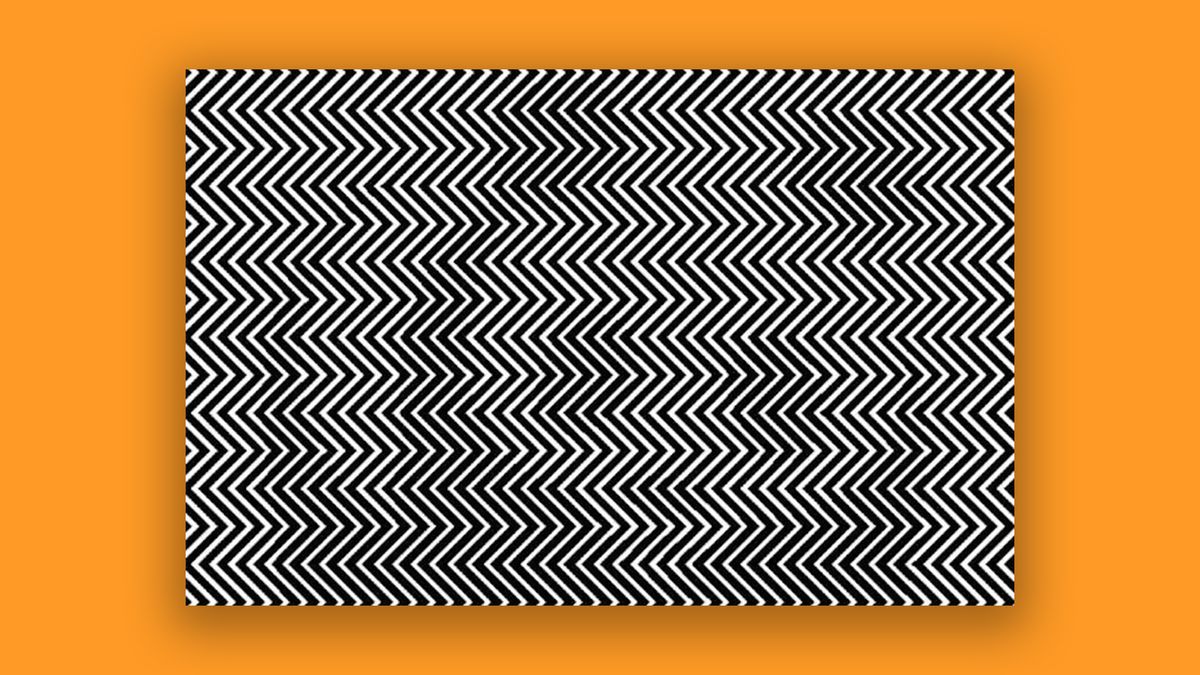 The Mind Blowing Optical Illusion With A Serious Message Flipboard 