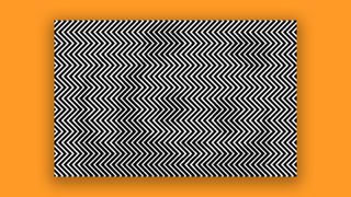 Pands optical illusion