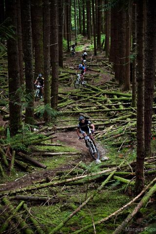 Racers zig and zag through the woods on stage 5