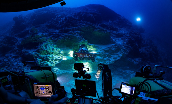 The Trapping Zone as seen from inside one of The Nekton Maldives Mission&#039;s submarines.