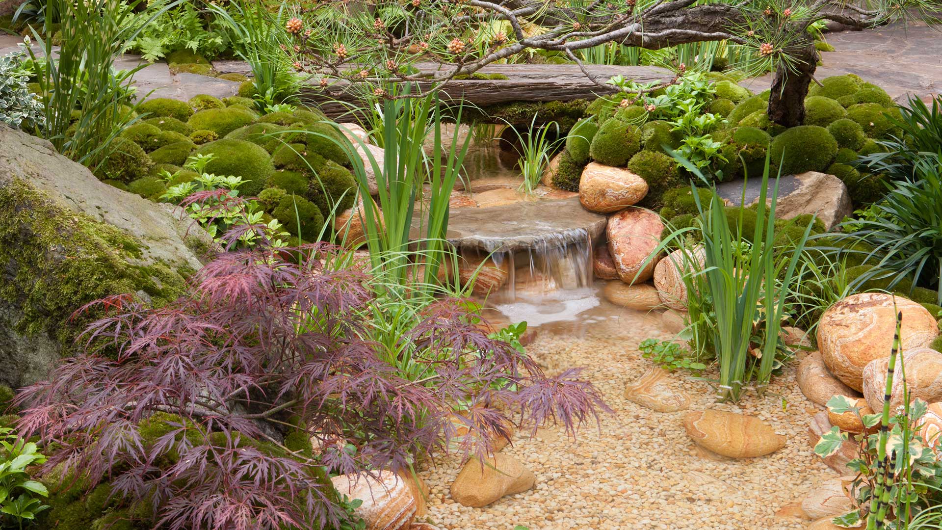 Kazuyuki Ishihara show garden 2012 ' Satoyama Life'