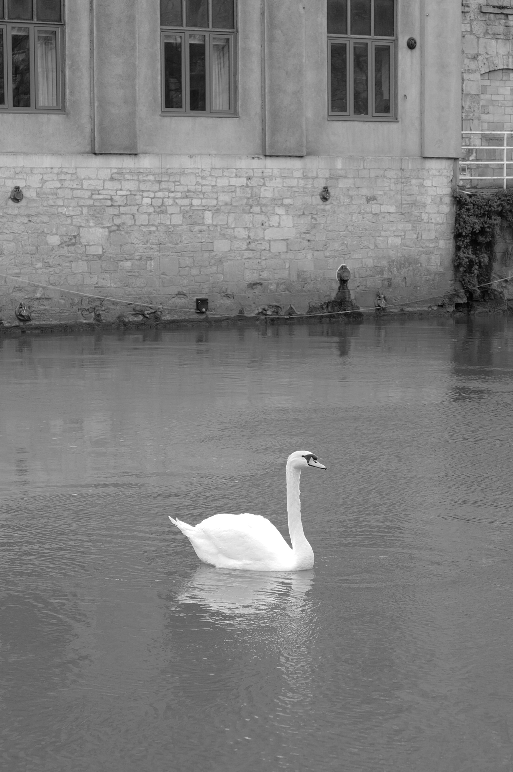 A photo taken on a Leica Q3 Monochrom black-and-white mirrorless camera