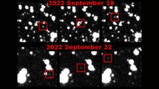 Blurry white asteroids appear in telescope images of the night sky