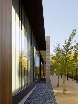 Exterior of the building consists of a grey pebble section and trees.