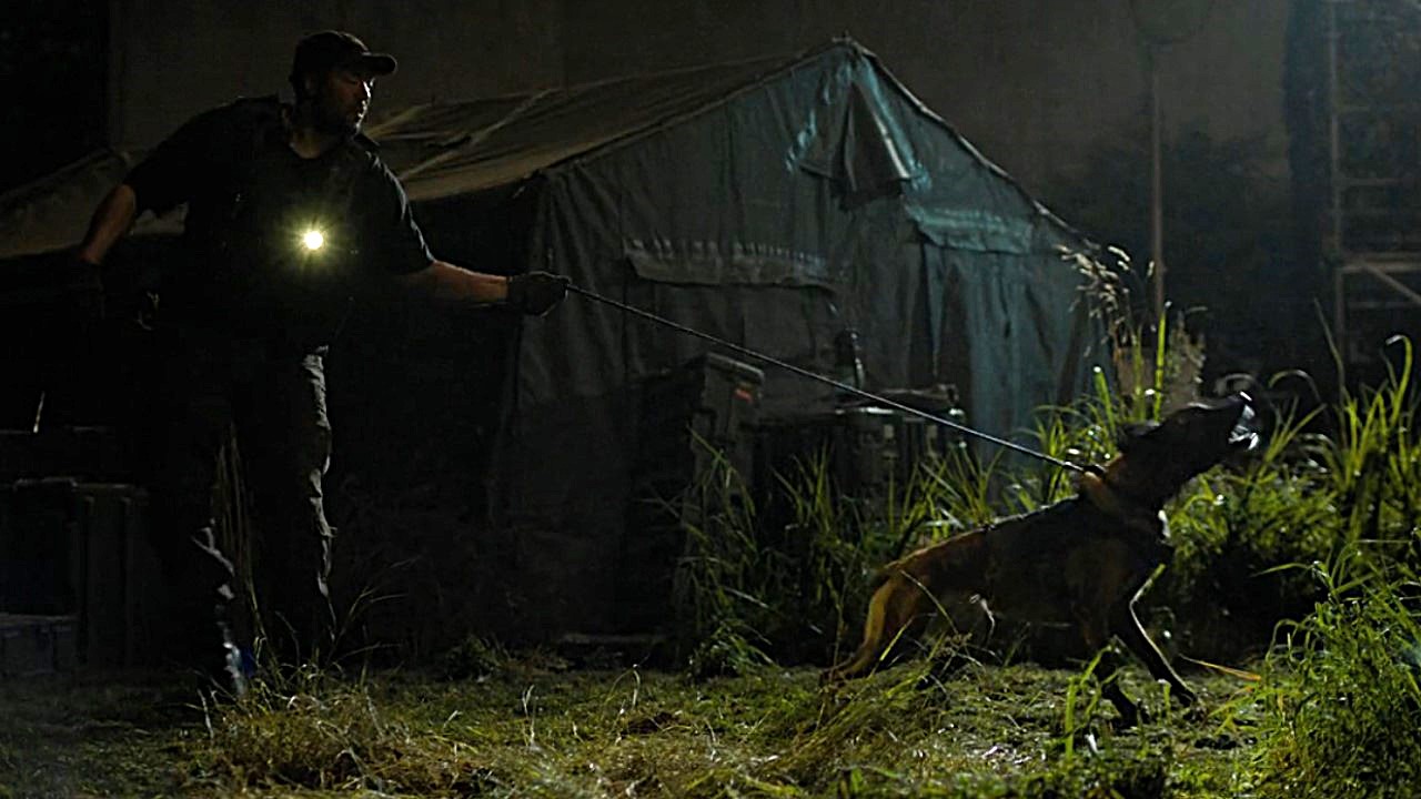 A dog alerts to Ellie on The Last Of Us.