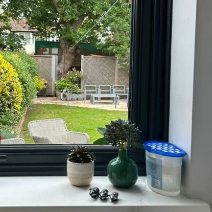 A disposable dehumidifier on a kitchen windowsill next to two small plants