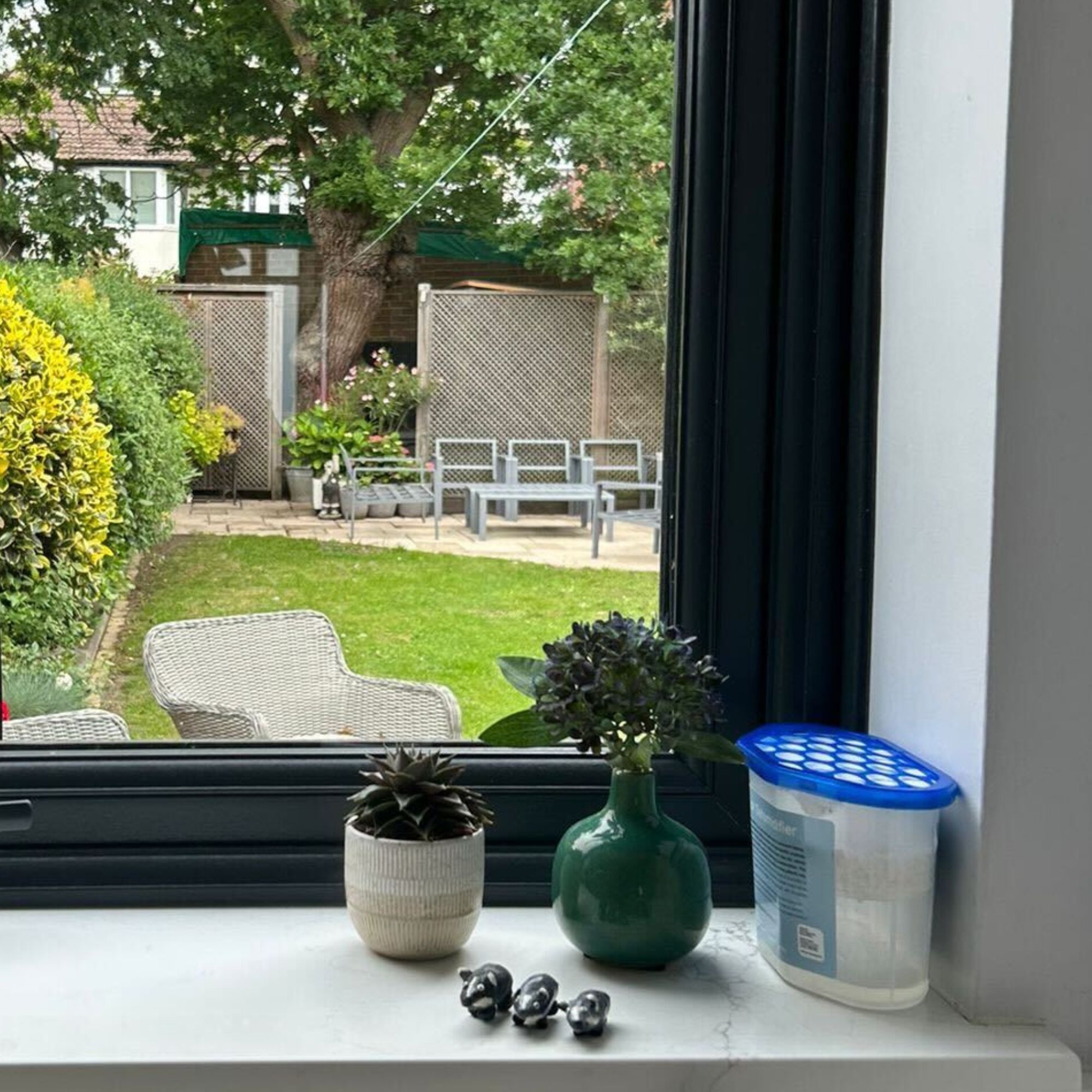 A disposable dehumidifier on a kitchen windowsill next to two small plants