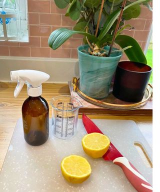 White chopping board with cut lemon red knife and potted orchid behind