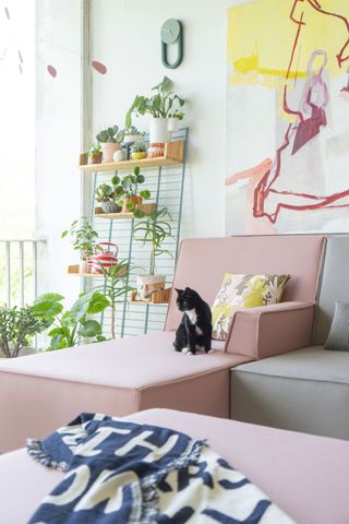 styling shelves: cat sat on a sofa in blush toned space with an abundance of houseplants styled on wire rack shelves by cubit