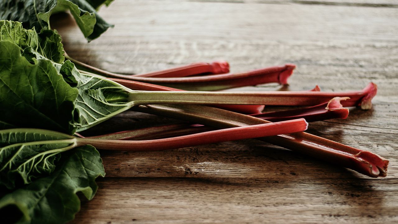 How to grow rhubarb