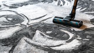 Portrait of a cleaning icon, on the floor, in dirt