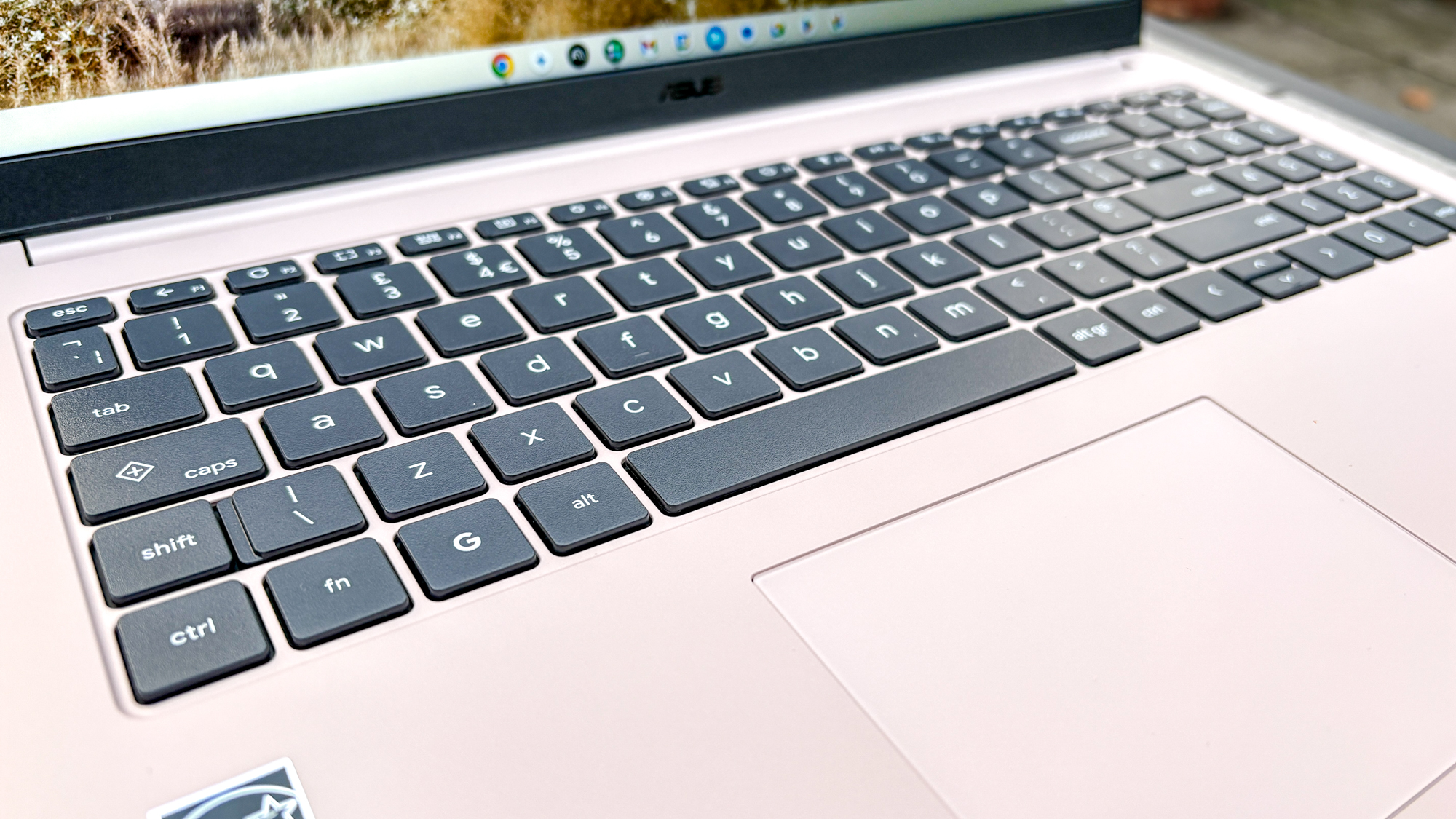 Asus Chromebook CX15