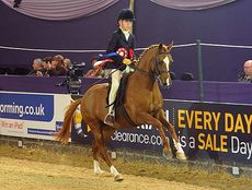 SEIB Search for a Star supreme champion 2013