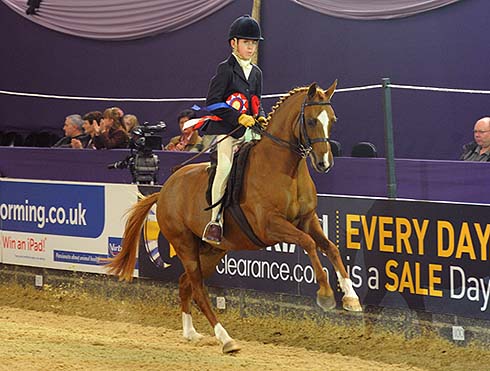 SEIB Search for a Star supreme champion 2013